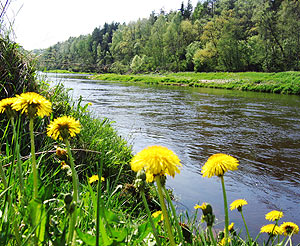 Gauja pie Lgatnes