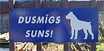 Dusmgs suns