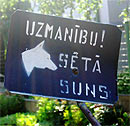 Uzmanbu! St suns