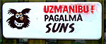 Uzmanbu! Pagalm suns