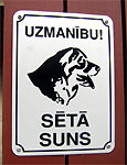 Uzmanbu! St suns