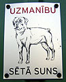 Uzmanbu! St suns