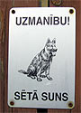 Uzmanbu! St suns