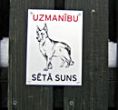 Uzmanbu! St suns