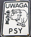 Uwaga psy