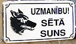 Uzmanbu! St suns