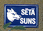 St suns